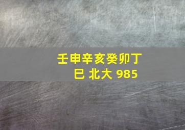 壬申辛亥癸卯丁巳 北大 985